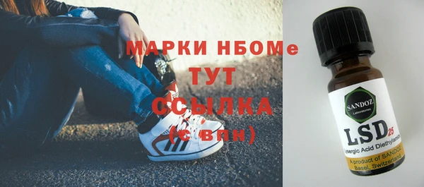ПСИЛОЦИБИНОВЫЕ ГРИБЫ Чердынь