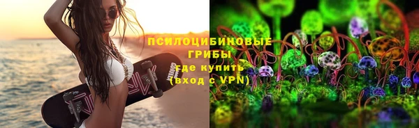 ПСИЛОЦИБИНОВЫЕ ГРИБЫ Чердынь