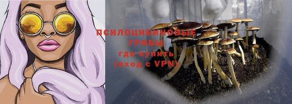 СК Чегем