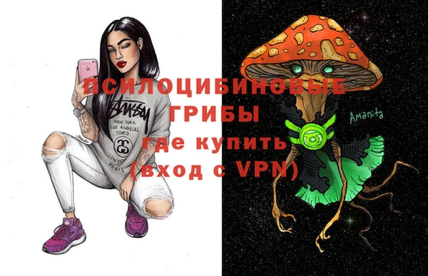 не бодяженный Чекалин