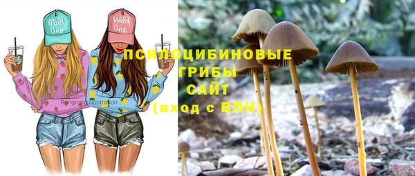 СК Чегем