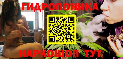 молекула духа Заводоуковск