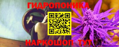 молекула духа Заводоуковск