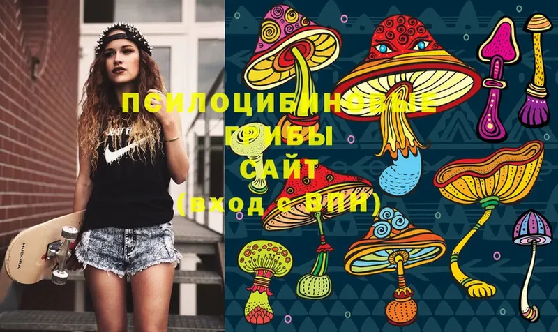 Галлюциногенные грибы Magic Shrooms  блэк спрут сайт  Северск  наркота 