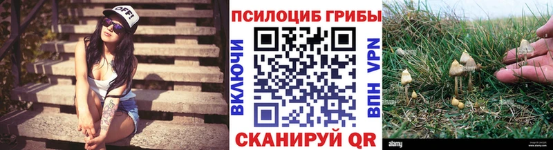 купить наркотики сайты  Северск  Галлюциногенные грибы Psilocybine cubensis 