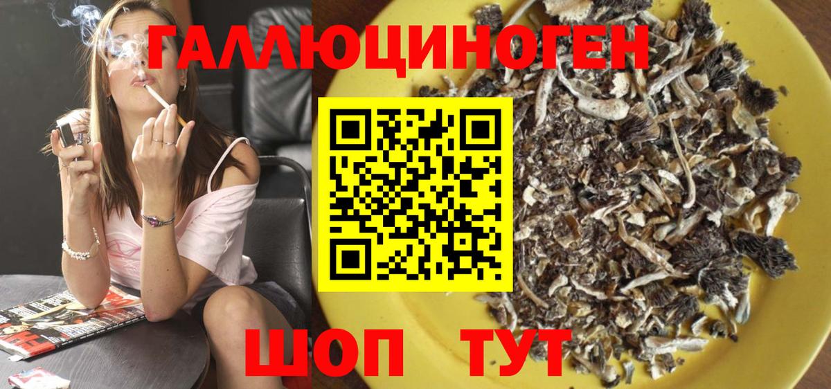 Галлюциногенные грибы Psilocybe  Вход с VPN  дарнет шоп  Северск  Псилоцибиновые грибы мицелий 
