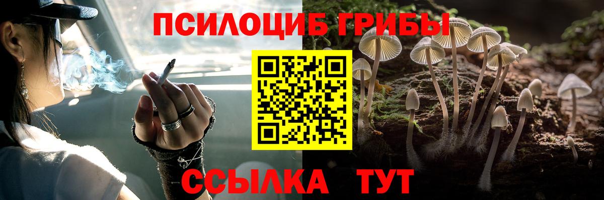 Псилоцибиновые грибы ЛСД  Галлюциногенные грибы Psilocybine cubensis  Северск 
