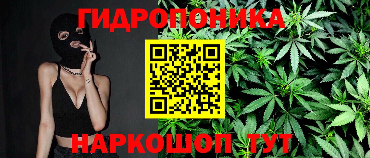 Северск  Канабис сатива  Вход с VPN  Каннабис OG Kush  МАРИХУАНА сатива  Бошки Шишки White Widow 